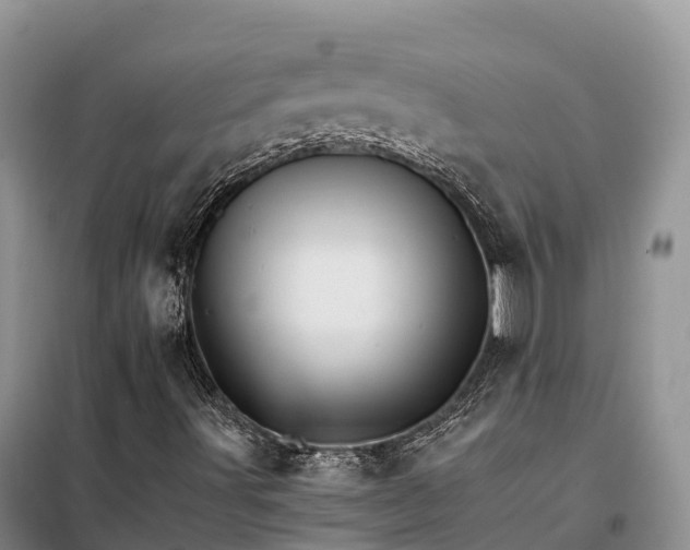 X0000098041491200804181241