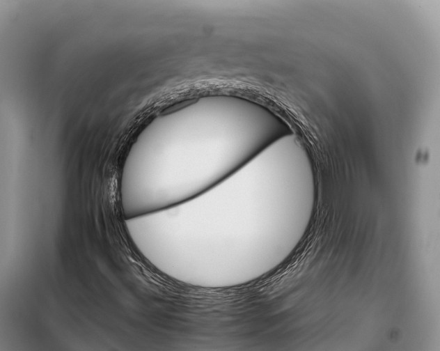 X0000098041492200804181241