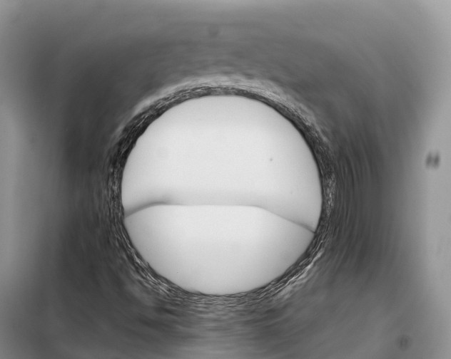 X0000098041494200804181241