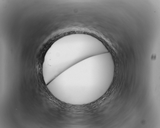X0000098041495200804181241