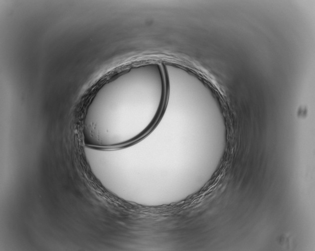 X0000098041496200804181242
