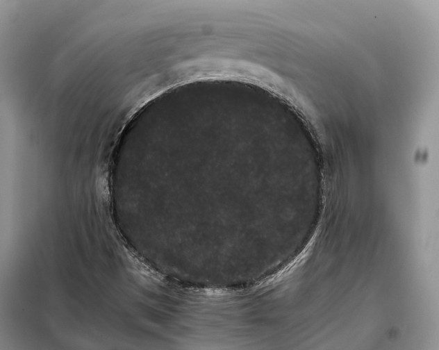 X0000098041497200804181242