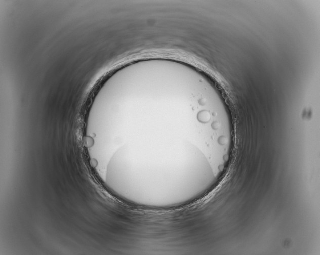 X0000098041498200804181242