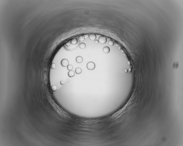 X0000098041499200804181242