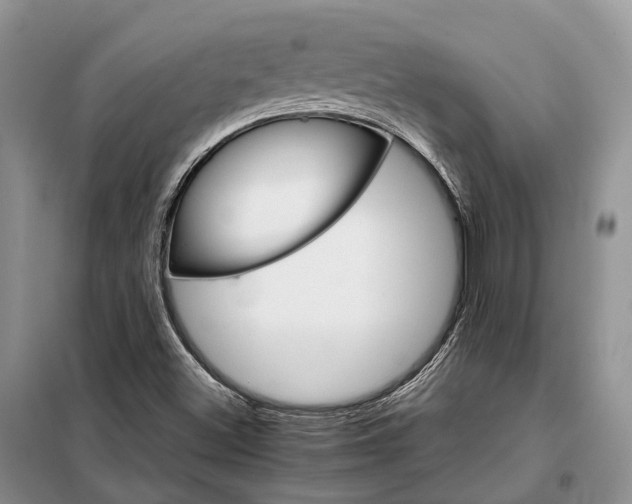 X0000098041500200804181242