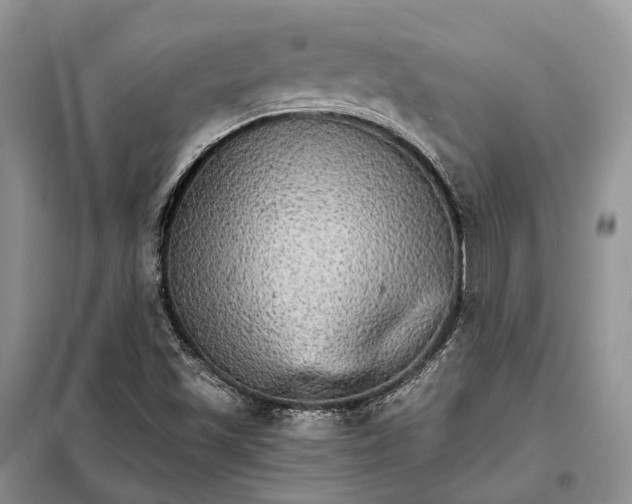 X0000098041501200804181242