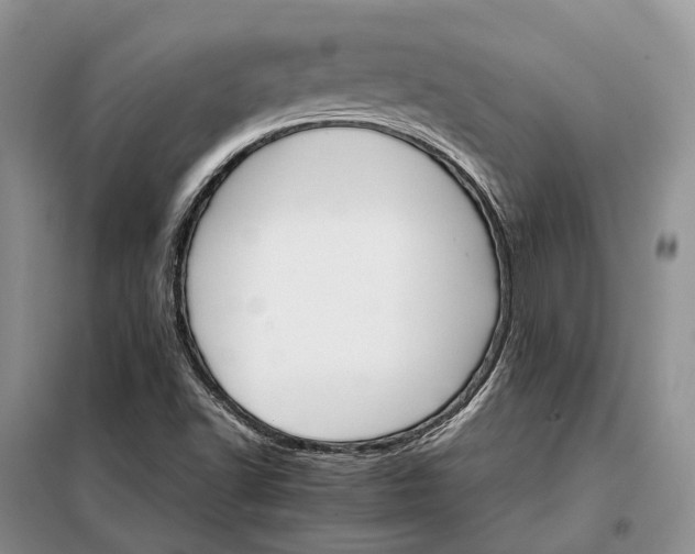 X0000098041502200804181242