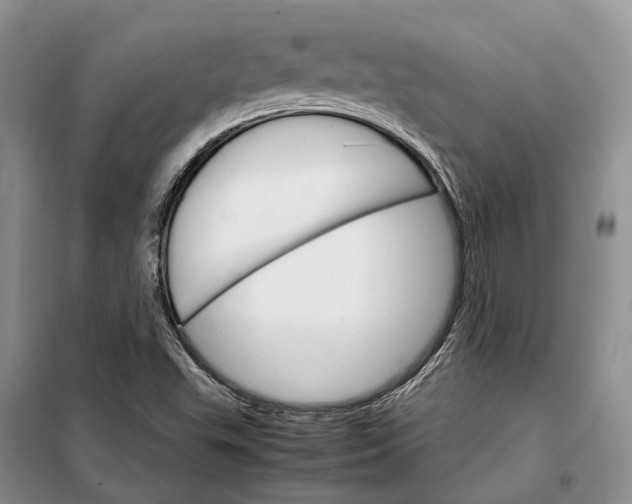X0000098041503200804181242