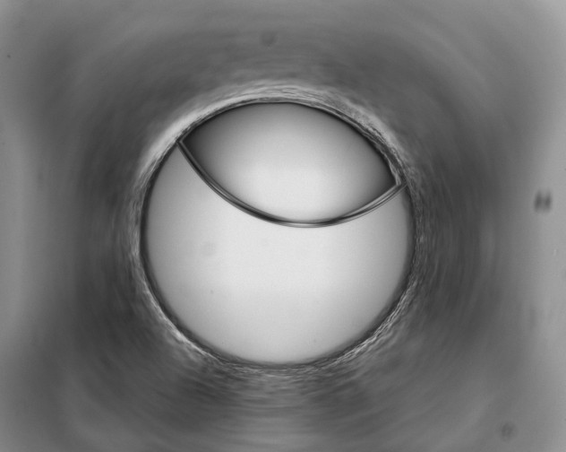 X0000098041504200804181242