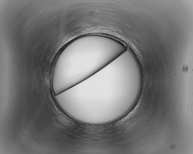 X0000098041505200804181242