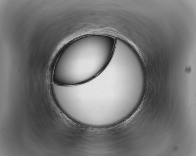 X0000098041506200804181242