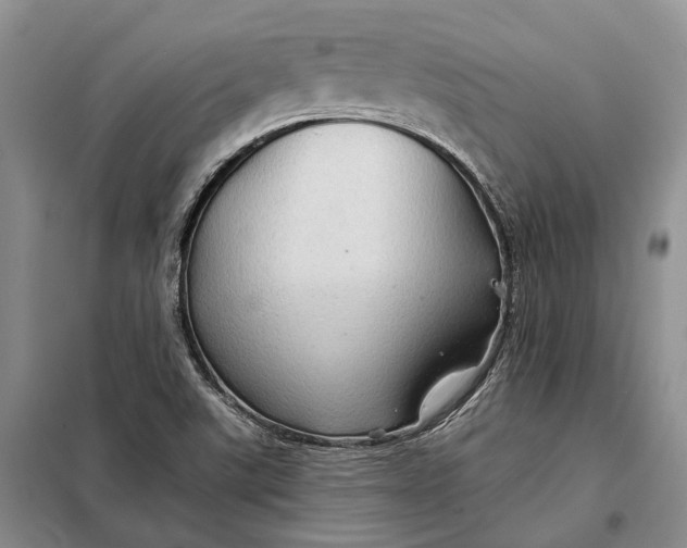 X0000098041507200804181242