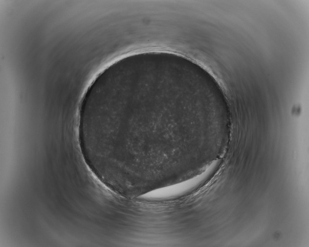 X0000098041508200804181242