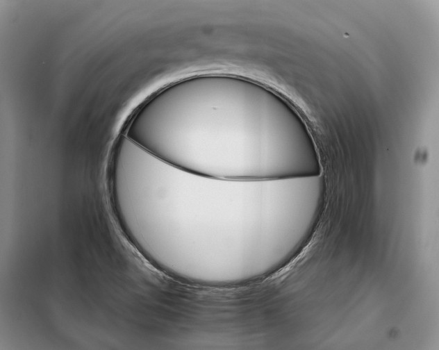 X0000098041510200804181242