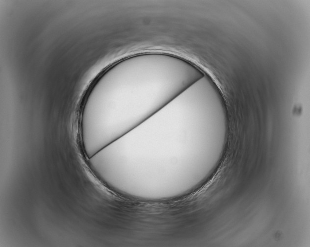 X0000098041511200804181242