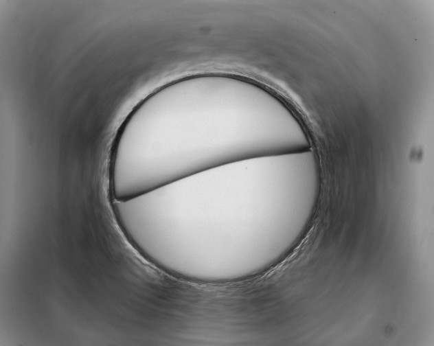 X0000098041512200804181242