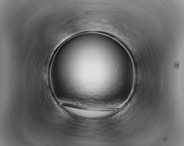 X0000098041513200804181242