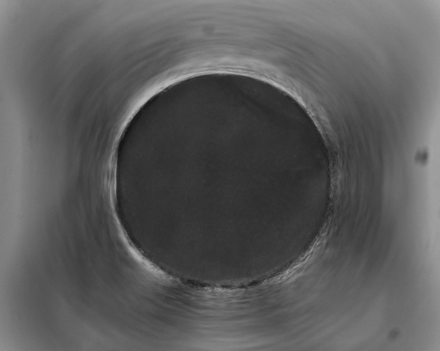 X0000098041515200804181242