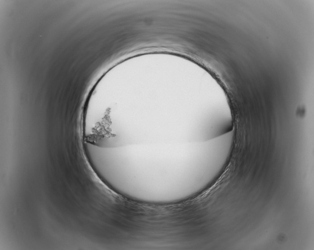 X0000098041516200804181242