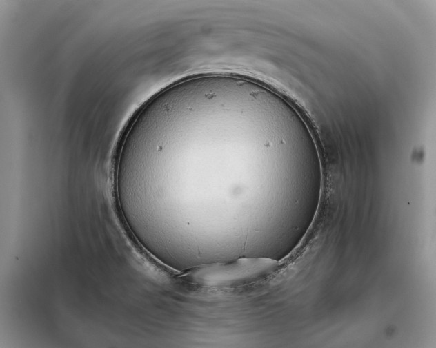 X0000098041517200804181242