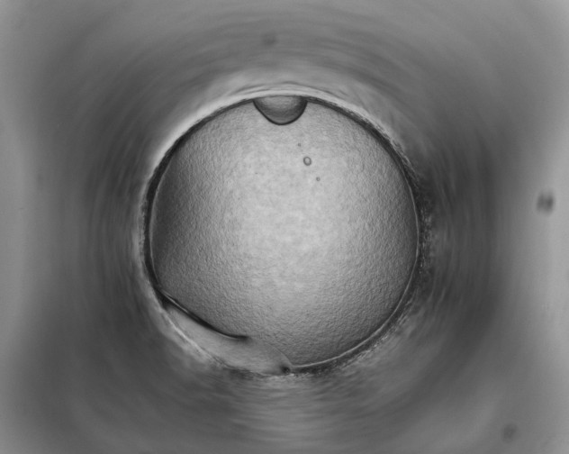 X0000098041518200804181242
