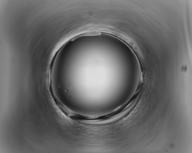 X0000098041520200804181242