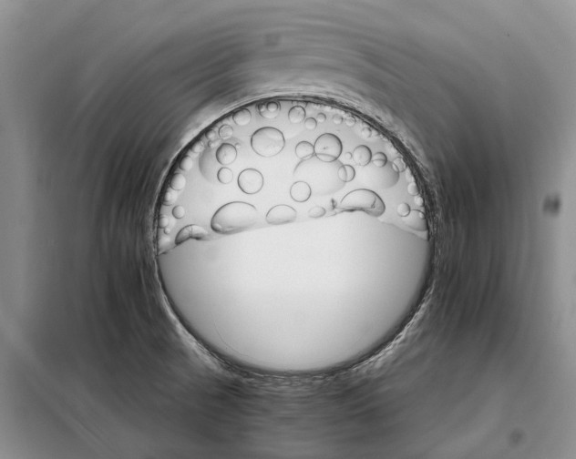 X0000098041521200804181242