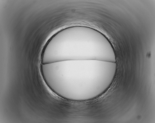 X0000098041523200804181242