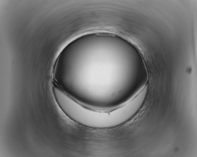 X0000098041524200804181242