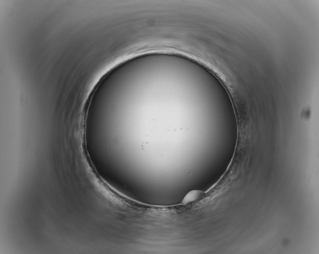 X0000098041526200804181242