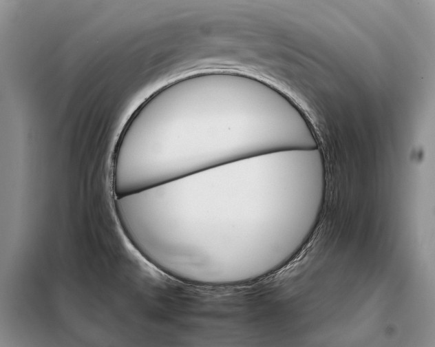 X0000098041527200804181242