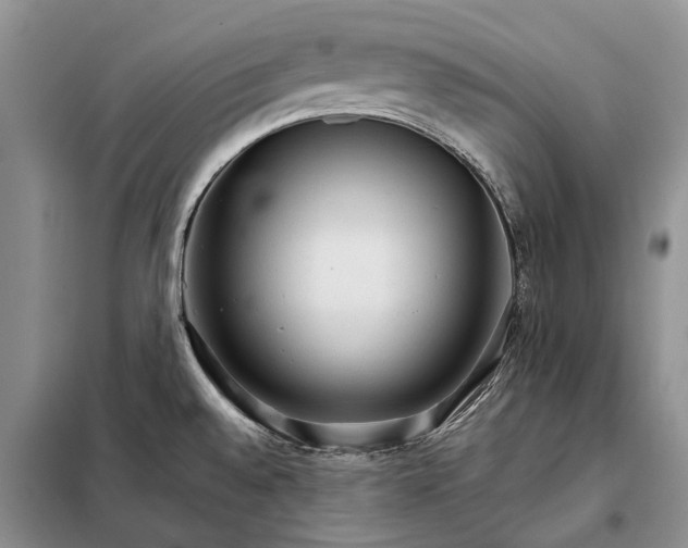 X0000098041528200804181242