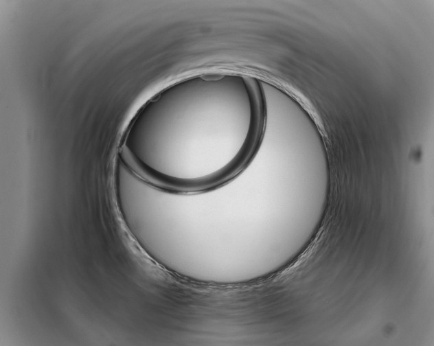 X0000098041530200804181242