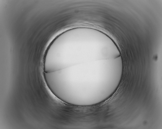 X0000098041531200804181242