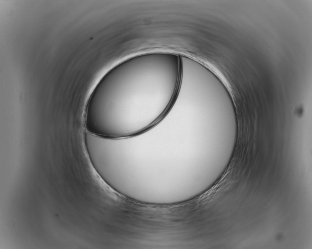 X0000098041532200804181242