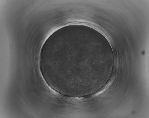 X0000098041533200804181242