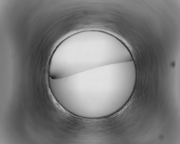 X0000098041534200804181242