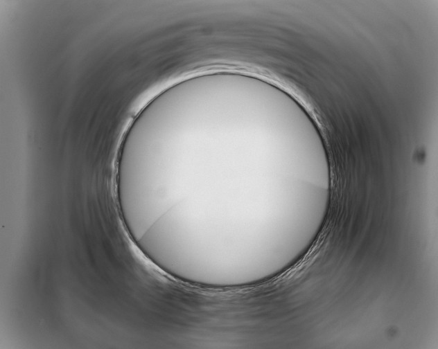 X0000098041535200804181242