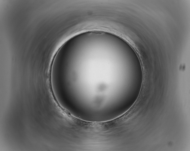 X0000098041536200804181242