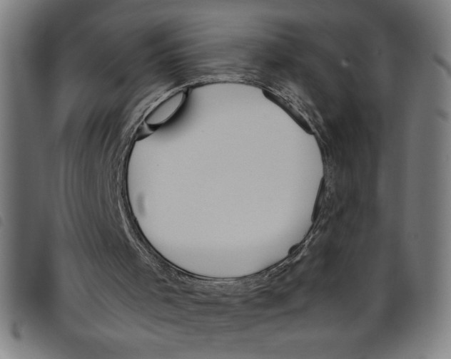 X0000098040001200804251051