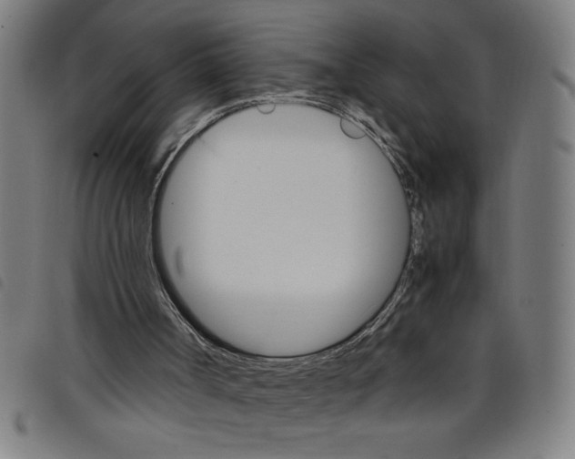 X0000098040002200804251051