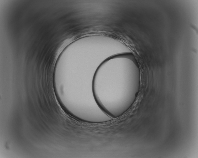 X0000098040003200804251051