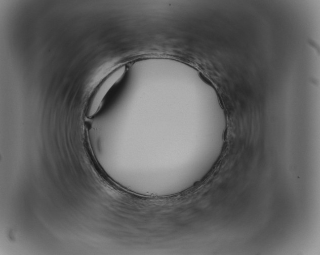 X0000098040005200804251050