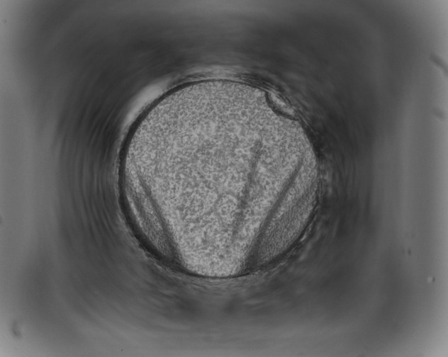 X0000098040006200804251050