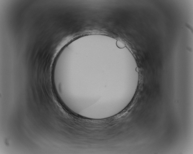 X0000098040008200804251050