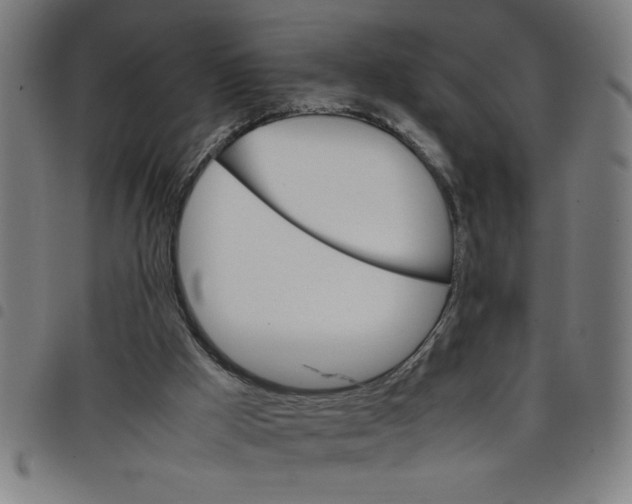 X0000098040009200804251050