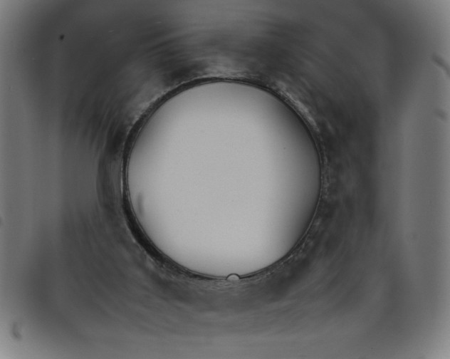 X0000098040011200804251050