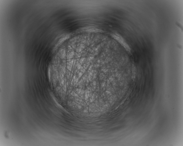 X0000098040014200804251050