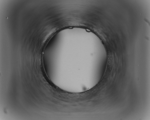 X0000098040015200804251050