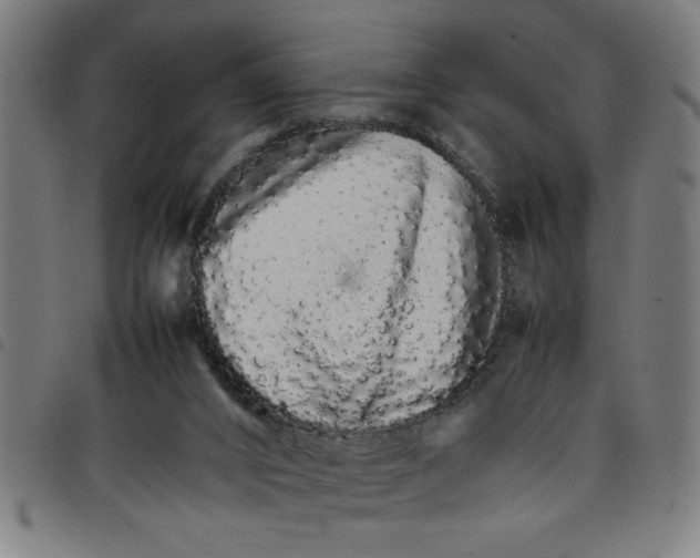 X0000098040016200804251050